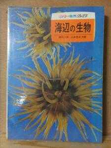 海辺の生物　　　　西村三郎　　　初版　　　　　カラーブックス