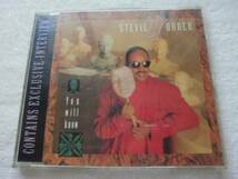 Stevie Wonder / You Will Know 4:05/ (Instrumental)4:05/Interview4:05/ angie stoneもカバーした名曲/1987/ＣＤシングル_画像1