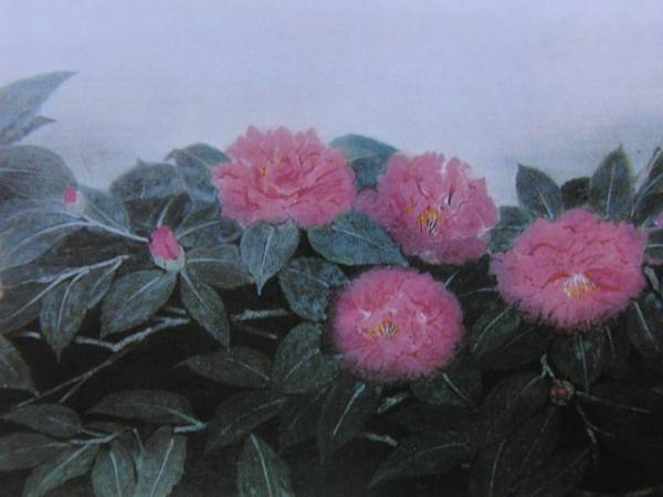هيتو ياماموتو, الزهرة الباردة, لوحات كتاب فنية نادرة, منتج جديد فاخر ومؤطر, ًالشحن مجانا, تلوين, طلاء زيتي, طبيعة, رسم مناظر طبيعية
