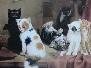 Art hand Auction free shipping, Rare art book, Comes with a new high-quality frame, Cat, Paintings Oil Paintings Animal Paintings, 93, Painting, Oil painting, Animal paintings