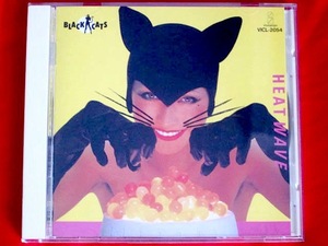 即決【CD】BLACK CATS ブラックキャッツ CREAM SODA ロカビリー クリームソーダ ネオロカ PINK DRAGON ピンクドラゴン