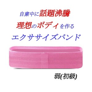 エクササイズバンド 【弱 初級】 筋トレ 美ボディ ストレッチ 自粛 ダイエット 太り 脂肪燃焼 在宅ワークにピッタリ 手軽