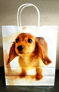  sale goods! paper handbag Dux fndo dog 5 pieces set paper bag 