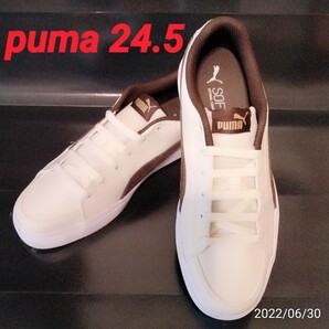 【美品】 Puma スニーカー 24.5cm ベージュ&ダークブラウン