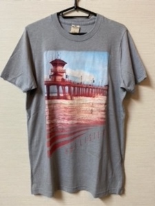 【送料無料】正規品　新品　ホリスター HOLLISTER メンズ　半袖　Tシャツ　L　グレー　