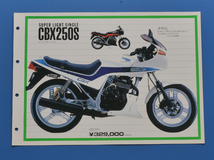 ホンダ　CBX250S　MC12　HONDA　1985年3月　販売店用カタログ　250CC単気筒RFVC【H1985-25】_画像1