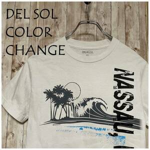 ★DEL SOL Tシャツ プロビデンス島 バハマ 2012 ダイビング ナッソー