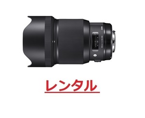 [ rental 6 days ]Sigma 85mm F1.4 DG HSM [ Canon for ]