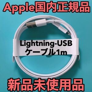 iPhoneライトニングケーブル Apple ライトニングケーブル USB アップル純正ケーブル 付属品 アップル