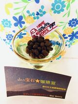 Qグレードコーヒー豆 200g エルサルバドルSHGジュリア Star Beans YouCoffee_画像2