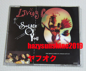 リヴィング・カラー LIVING COLOUR 4 TRACK CD SINGLE SOLACE OF YOU LIVE TIME'S UP