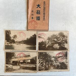 戦前絵葉書 大蘇鐡 島根県 福性寺 4枚 当時物 資料 ポストカード 絵はがき レトロ アンティーク ビンテージ