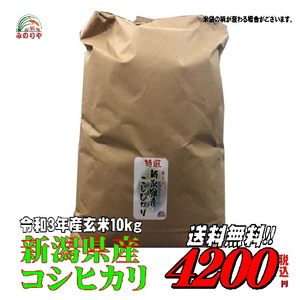 令和３年産 新潟県産コシヒカリ10kg うまい米 米専門 みのりや（玄米）ポイント消化 送料無料
