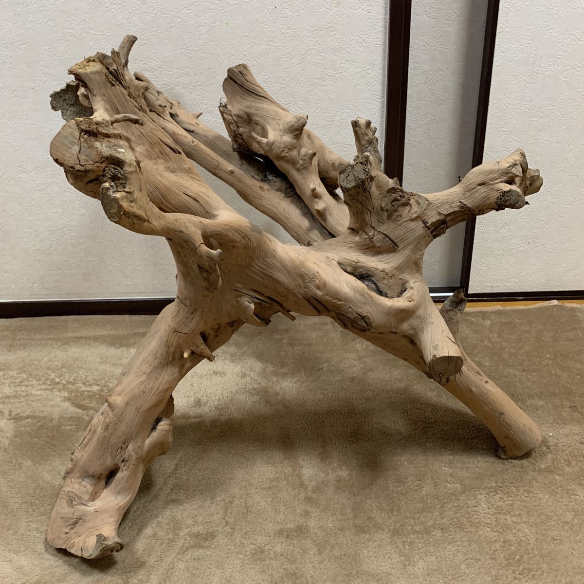 ○流木○自然流木○ | loja.tropobella.com.br