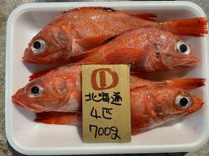 【北海道産】 　キンキ　（4匹で700ｇ）　冷凍　　1