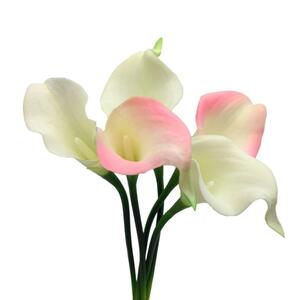  искусственный цветок Голландия kai u цвет 5шт.@( розовый белый )