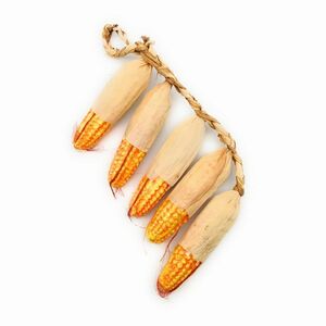  food sample hanging weight .. vegetable corn 1 pcs 