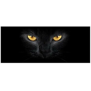  long mat kitchen mat mistake terrier s dark . shines cat. eye 