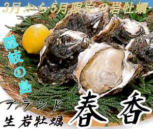 隠岐海士町産岩牡蠣「春香」LLサイズ（420g以上）5個 約2.4kg以上 2
