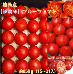 徳島 フルーツトマト15~21玉 M~Sサイズ【極濃味】(このみ) 超濃厚旨味 糖度10以上 化粧箱 ギフト用 ミニトマト 