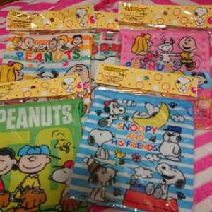 Snoopy Mini Backsing Sect ③ ③