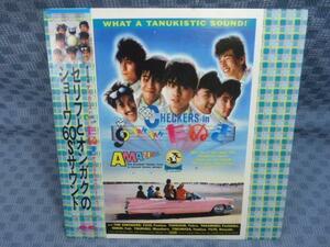 V877* with belt / The Checkers [TAN TAN...]LP( analogue record )