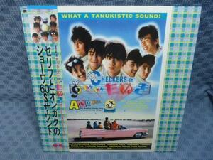 V862●帯付/チェッカーズ「TAN TAN たぬき」LP(アナログ盤)