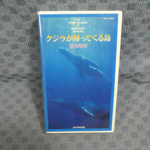 M609●30032/望月昭伸「クジラが帰ってくる島」VHSビデオ