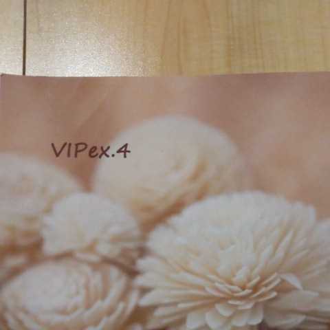 高岡ミズミ　vip VIP ex.4　同人誌　WILD FLOWER 46　2011年　26ページ