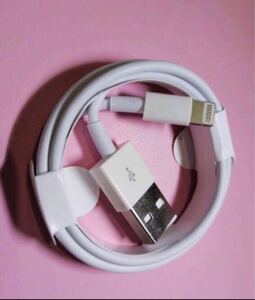 Apple ライトニングケーブル