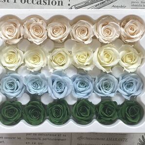プリザーブドフラワー 花径2-2.5cm 24輪バラ イェロー&グリーン