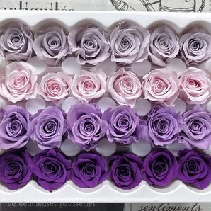 プリザーブドフラワー 花径2-2.5cm 24輪バラ 小ぶり パープル&ピンク