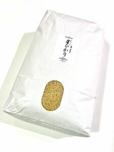 令和3年産【丹波産】コシヒカリ 玄米 -特別栽培米- “星ひかり” 10kg