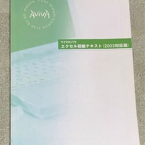 エクセル 初級・上級テキスト2003 2冊セット