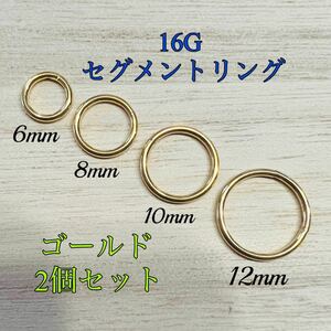 16G ゴールド2個セットセグメントリング フープ リング ピアス ボディピアス