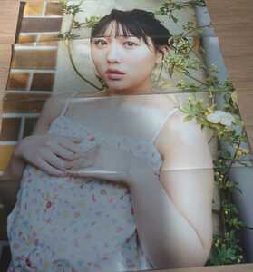 HKT48 рисовое поле Nakami .=LOVE Sasaki Mai . двусторонний постер 