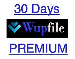 【スピード対応！】公式Wupfileプレミアム 30日間【5分～24時間以内対応】