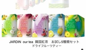 JARDIN our tea ドライフルーツティー 韓国紅茶 5種類セット