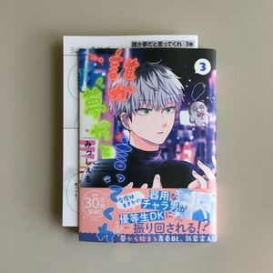 新品未読品　誰か夢だと言ってくれ３　みっしぇる先生　アニメイト4Pリーフレット付き