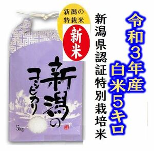 令和3年産新米・新潟コシヒカリ・新潟県認証特別栽培米1等白米5キロ 1個
