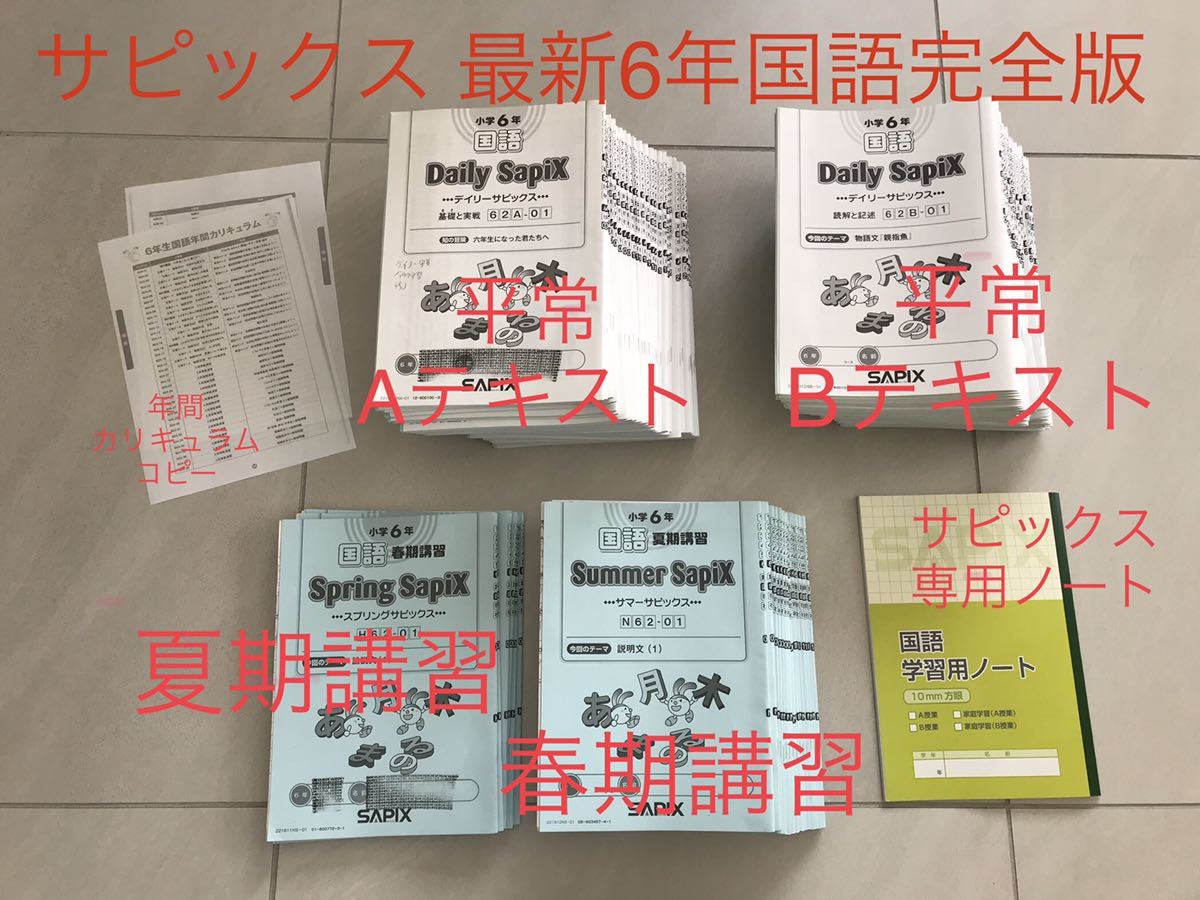日本に サピックス SAPIX 小学6年 算数テキスト（解答付） 参考書 本 