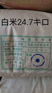 茨城県産コシヒカリ白米25キロ(内容量24.7キロ)小分け不可