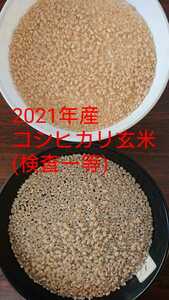 茨城県産コシヒカリ玄米25キロ(内容量24.7キロ)