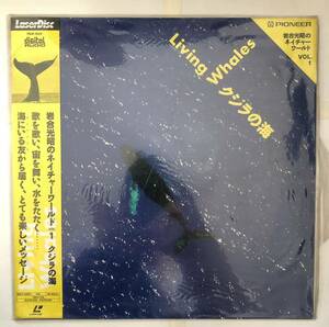 クジラの海 岩合光昭のネイチャーワールドVOL.1 レーザーディスク　LD