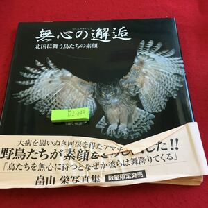 Y22-044 無心の邂逅 北国に舞う鳥たちの素顔 畠山栄写真集 帯以外無傷 数量限定発売 野鳥 写真集 平成17年発行 アマチュアカメラマン