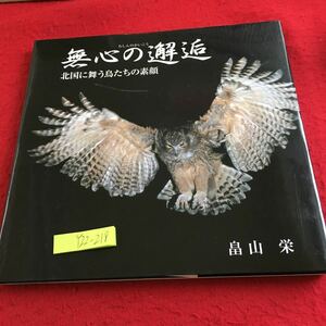 Y22-218 無心の邂逅 北国に舞う鳥たちの素顔 畠山栄 アマチュアカメラマン 数量限定発売 野鳥 写真集 平成 17年発行 フクロウ カワセミ