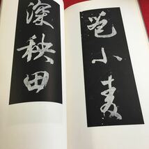 Y29-091 宋 高宋 眞草先字文/范成大詩碑 北宋は、太祖以来168年で事寛上その命脈を断たれた。 書跡名品叢刊 188 二玄社 1974年発行_画像3