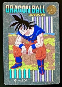 即決 ドラゴンボール カードダス ビジュアルアドベンチャー 95 EX No.294 孫悟空