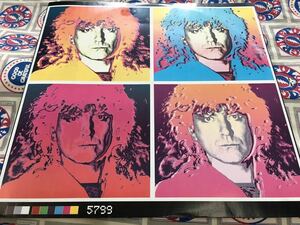 Robert Plant★中古12’EU盤「ロバート・プラント～Hurting Kind」