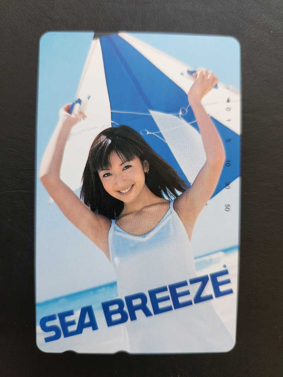ライトブラウン/ブラック 非売品☆店頭用 資生堂 SEA BREEZE